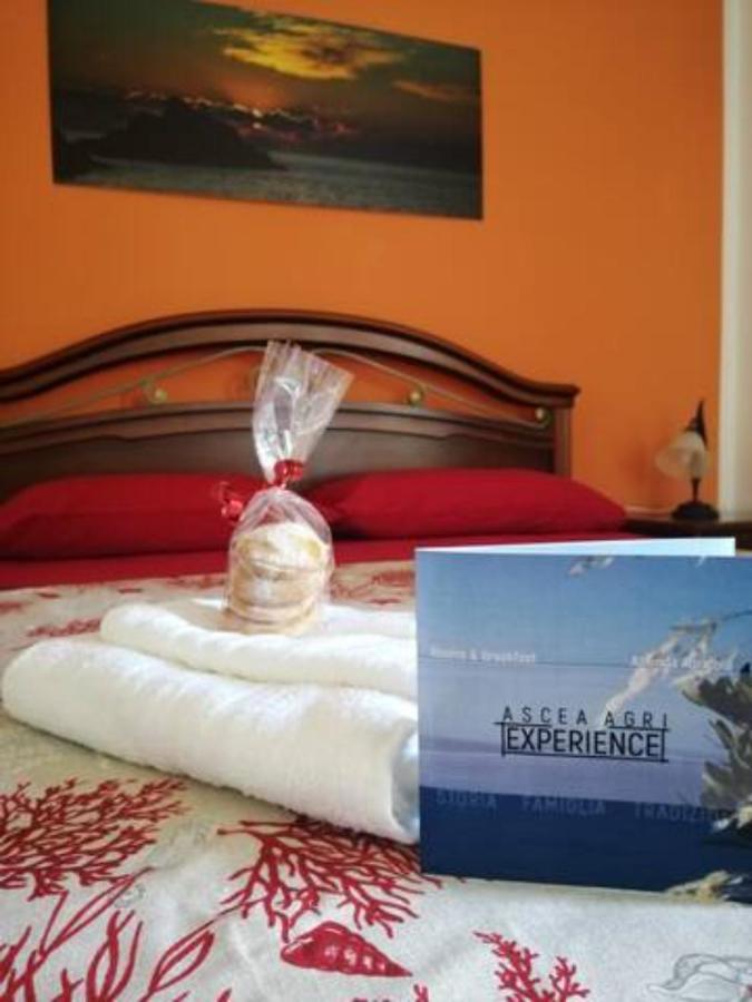 Asceaexperience Rooms מראה חיצוני תמונה
